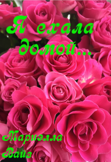 Я ехала домой... (Мариэлла Вайз)
