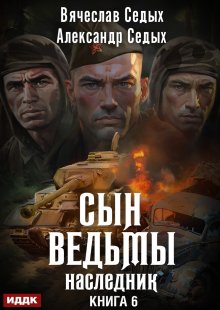 Сын ведьмы. Книга 6. Наследник (ИДДК)